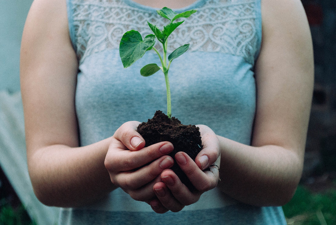 5 Reasons why everyone should plant trees